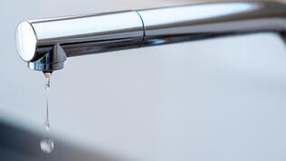 Berlingen - im Sinne des guten Trinkwassers!